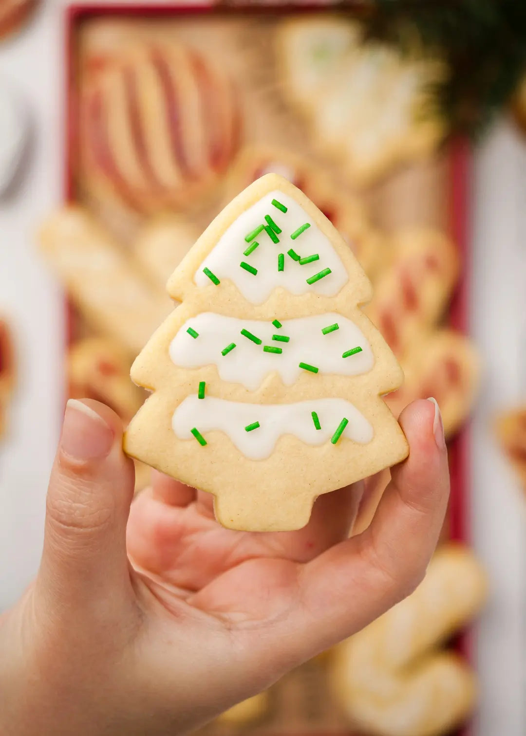 Close-up photo of a Christmas tree cookie made with the cookie cutter and stamp from the set. The cookie is finished with simple icing made from powdered sugar and milk, and some green sprinkles on top.